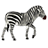 picture for subcategory